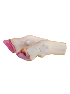 pata de res.png