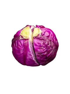 REPOLLO MORADO KG