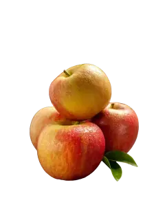 MANZANA GALA.png