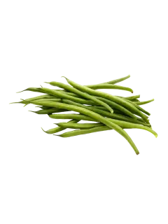 VAINITAS KG